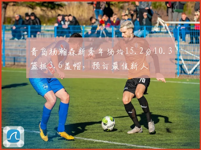 青岛杨瀚森新秀年场均15.2分10.3篮板3.6盖帽,预订最佳新人
